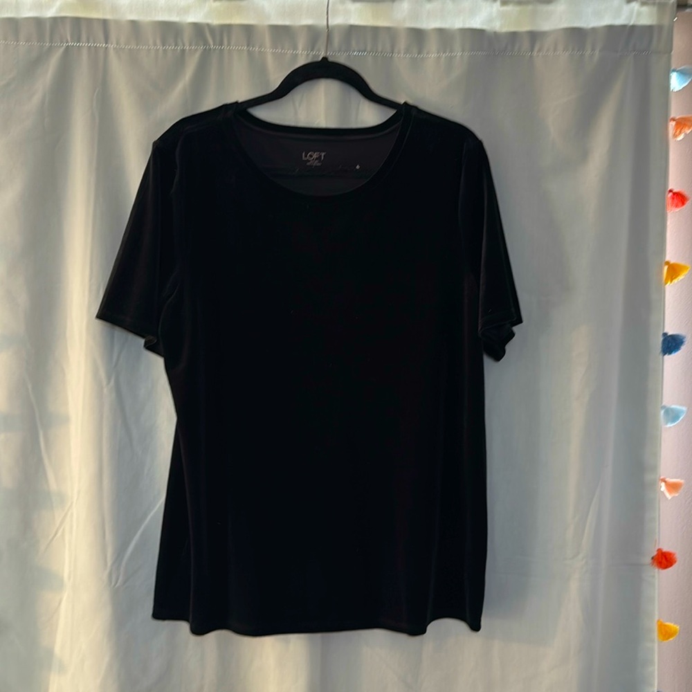 LOFT Black Velvet Short Sleeve Top - Size “Large”